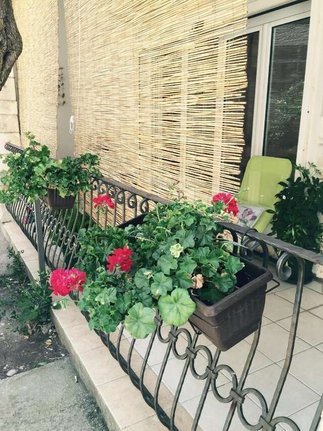 Апартаменты Apartment Plamenac Петровац-23